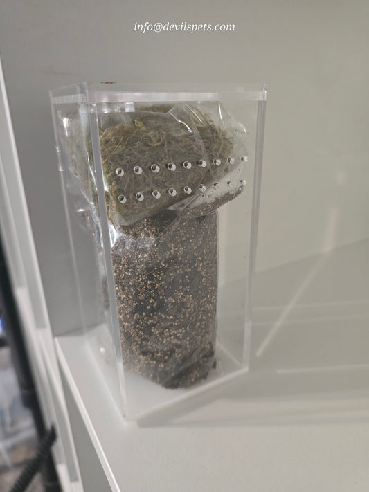 Arboreal/fossorial acrylic enclosure
